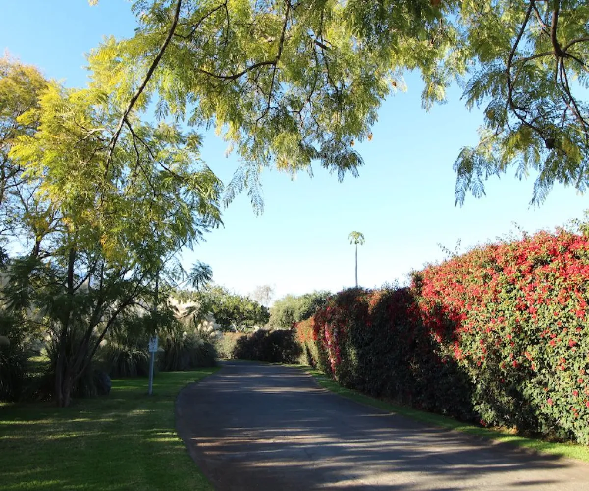 Terreno En Venta,ajijic centro,Carretera chapala - jocotepec 960, Chapala, Jalisco 45925,Carretera chapala - jocotepec ,pMChwgx