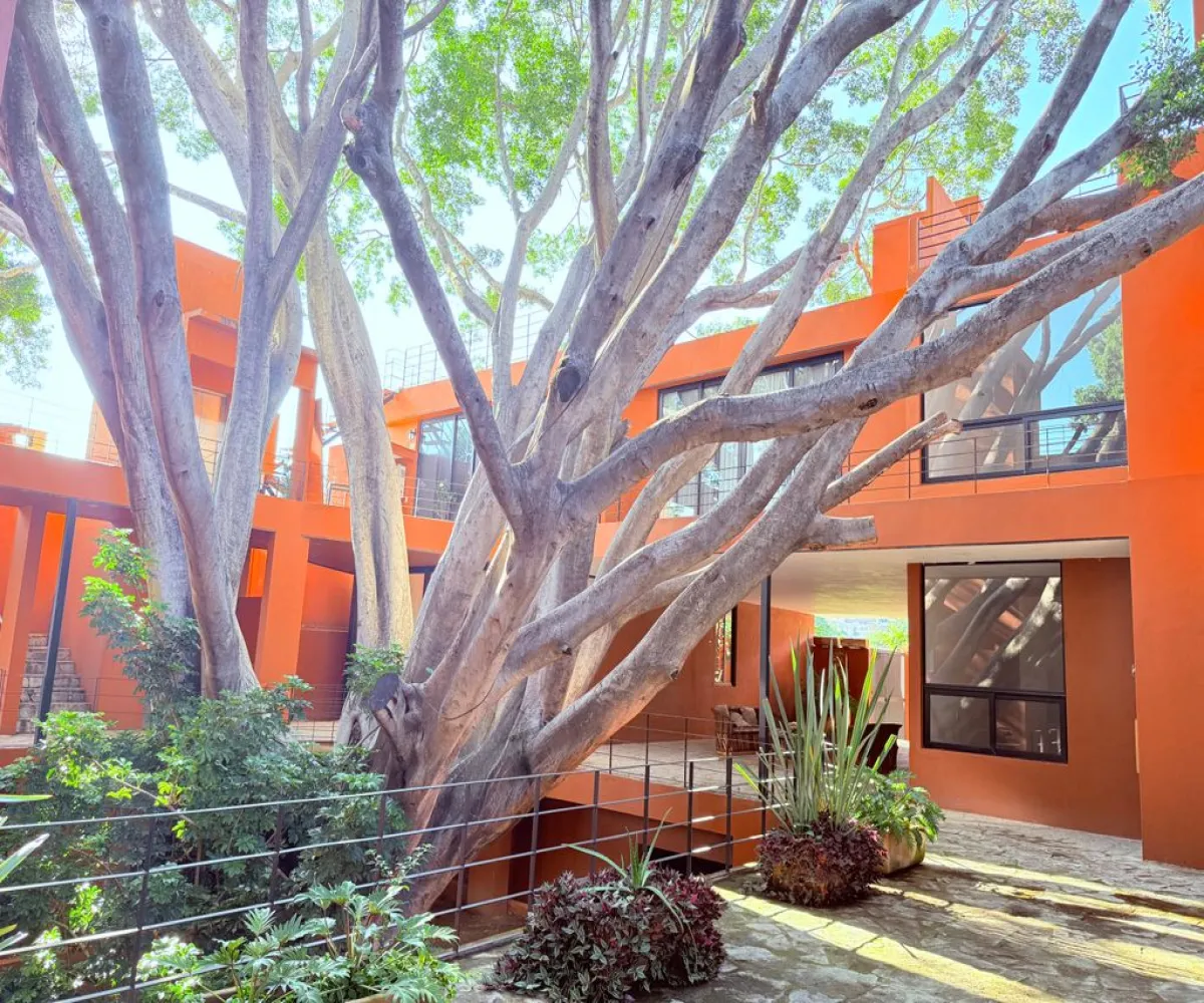 Casa En Venta,Ajijic,Calle el Bajio 5 202, Chapala, Jalisco 45920, 3 Habitaciones,3 Baños,Calle el Bajio,1,piK4vIU