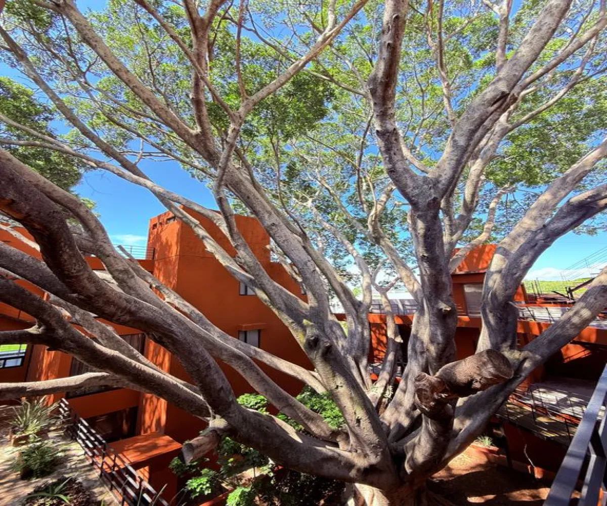 Casa En Venta,Ajijic,Calle el Bajio 5 3, Chapala, Jalisco 45925, 3 Habitaciones,3 Baños,Calle el Bajio,1,ppgaLyJ