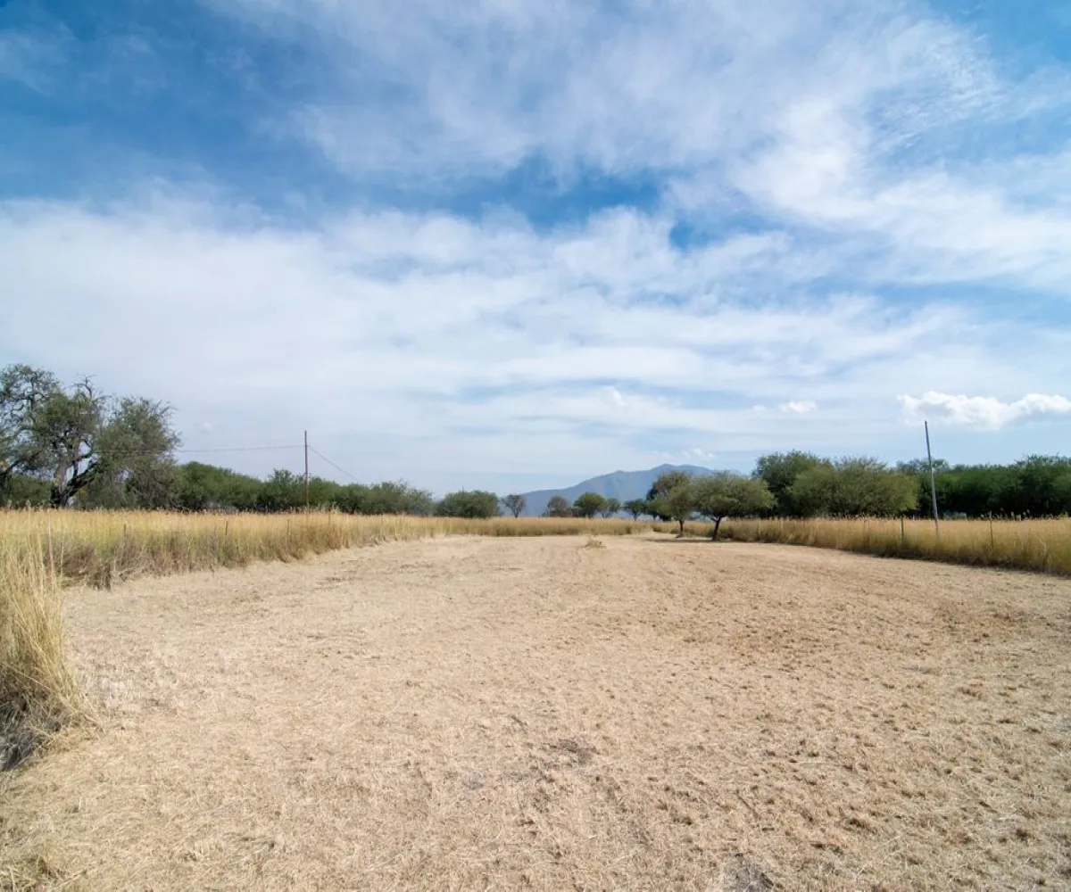 Terreno En Venta,Atotonilco,Calle Constitución S/N, Villa Corona, Jalisco 45745,Calle Constitución,p9hypcI