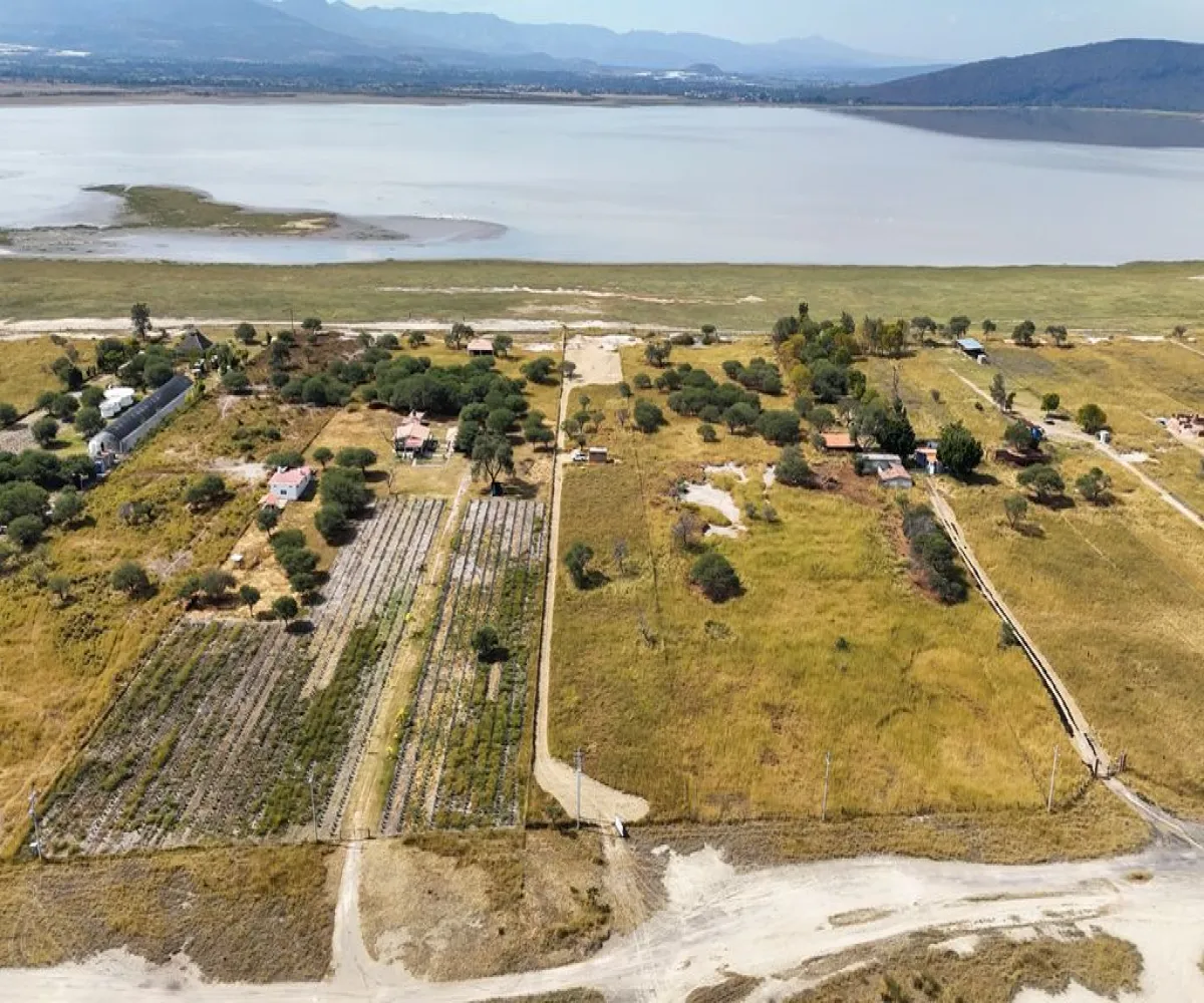 Terreno En Venta,Atotonilco,Calle Constitución S/N, Villa Corona, Jalisco 45745,Calle Constitución,p9hypcI