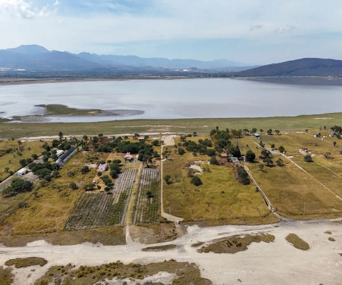 Terreno En Venta,Atotonilco,Calle Constitución S/N, Villa Corona, Jalisco 45745,Calle Constitución,p9hypcI