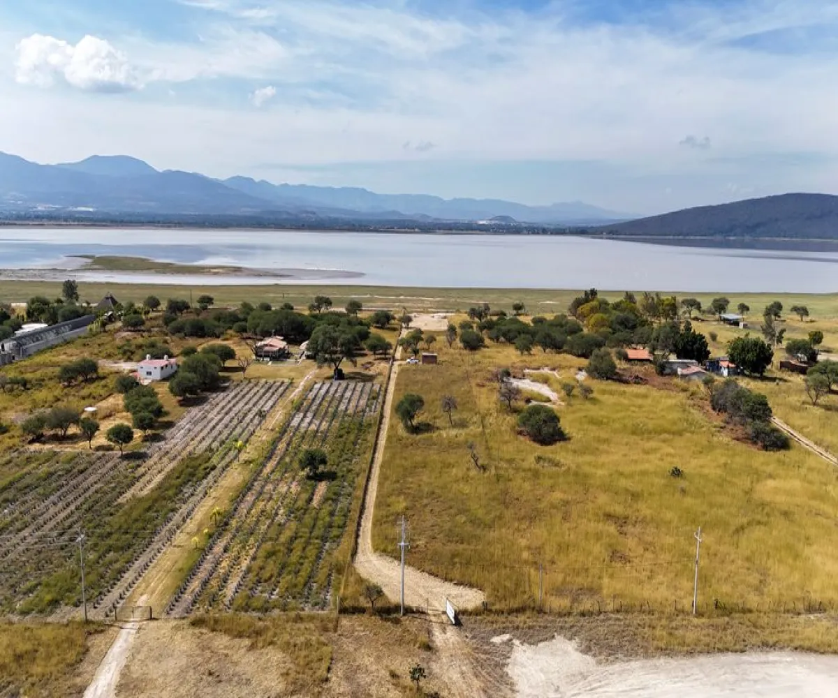 Terreno En Venta,Atotonilco,Calle Constitución S/N, Villa Corona, Jalisco 45745,Calle Constitución,p9hypcI