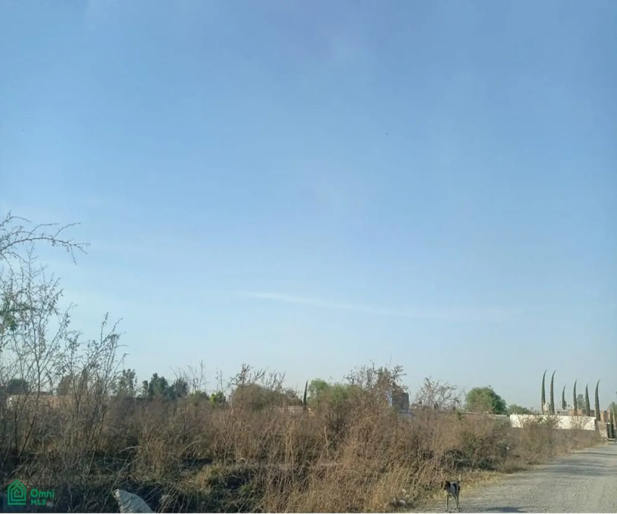 Edificio En Venta,Ejido El Zapote Del Valle,flor de loto S/N, Tlajomulco de Zuniga, Jalisco 45672,flor de loto,MX251061437