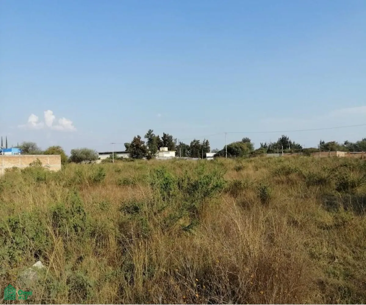 Edificio En Venta,Ejido El Zapote Del Valle,flor de loto S/N, Tlajomulco de Zuniga, Jalisco 45672,flor de loto,MX251061437