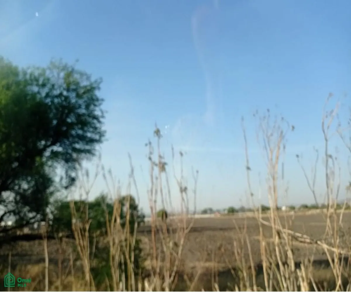 Edificio En Venta,Ejido El Zapote Del Valle,flor de loto S/N, Tlajomulco de Zuniga, Jalisco 45672,flor de loto,MX251061437