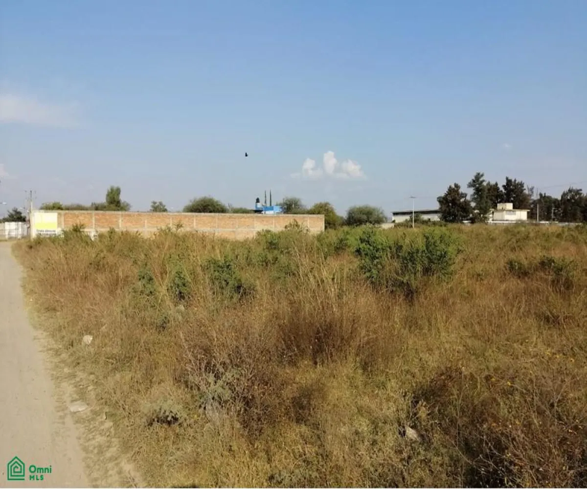 Edificio En Venta,Ejido El Zapote Del Valle,flor de loto S/N, Tlajomulco de Zuniga, Jalisco 45672,flor de loto,MX251061437