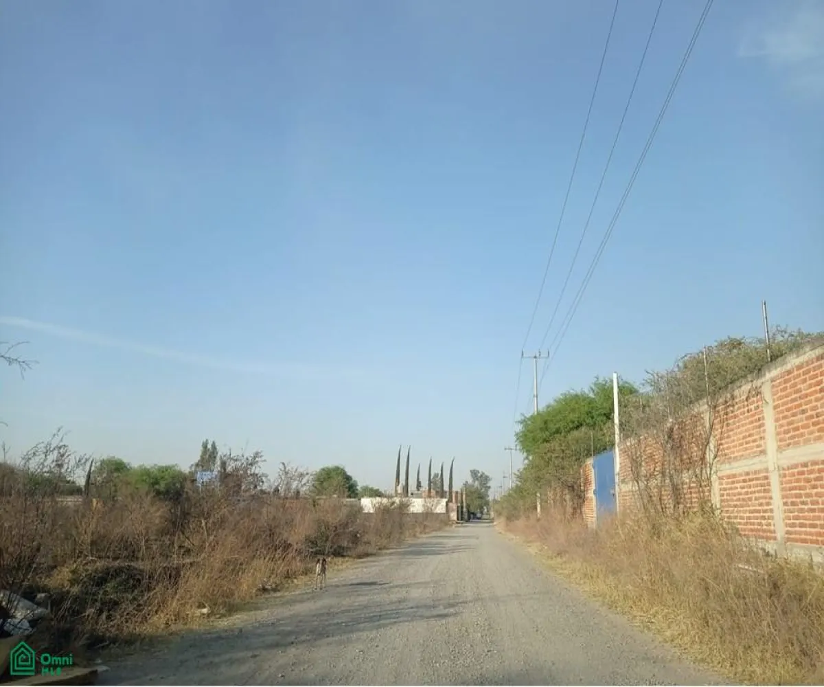 Edificio En Venta,Ejido El Zapote Del Valle,flor de loto S/N, Tlajomulco de Zuniga, Jalisco 45672,flor de loto,MX251061437