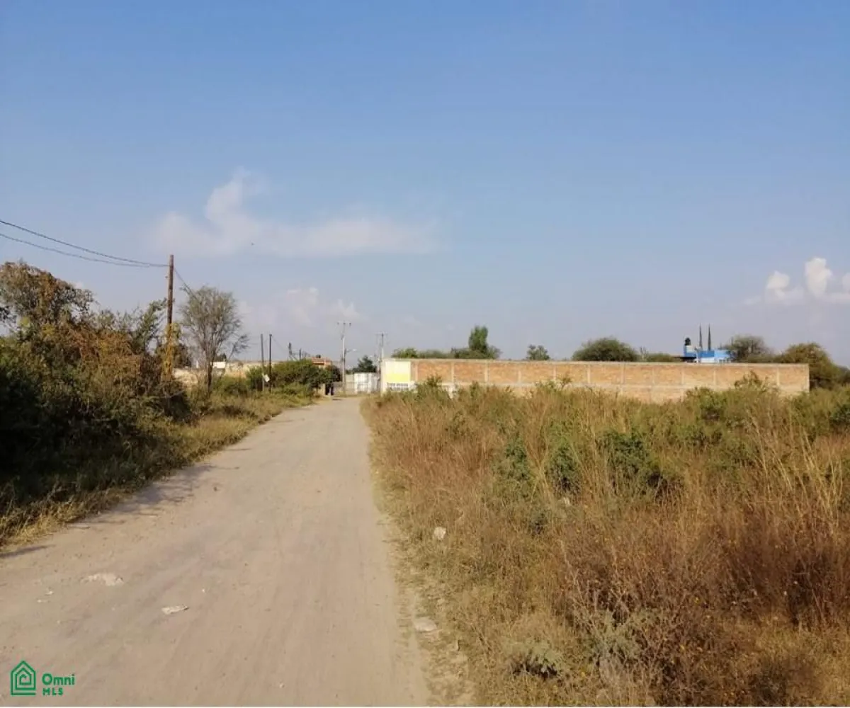 Edificio En Venta,Ejido El Zapote Del Valle,flor de loto S/N, Tlajomulco de Zuniga, Jalisco 45672,flor de loto,MX251061437