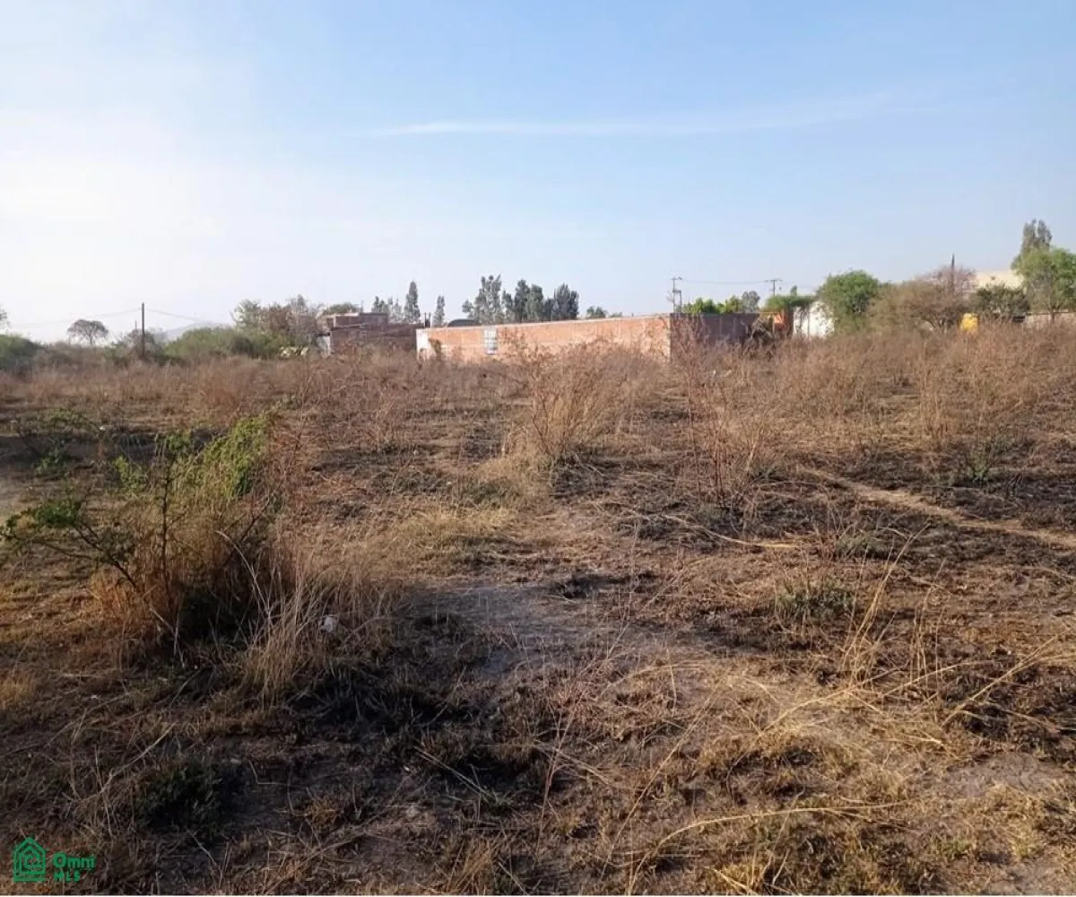 Edificio En Venta,Ejido El Zapote Del Valle,flor de loto S/N, Tlajomulco de Zuniga, Jalisco 45672,flor de loto,MX251062020