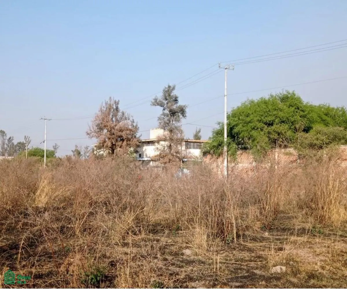 Edificio En Venta,Ejido El Zapote Del Valle,flor de loto S/N, Tlajomulco de Zuniga, Jalisco 45672,flor de loto,MX251062020