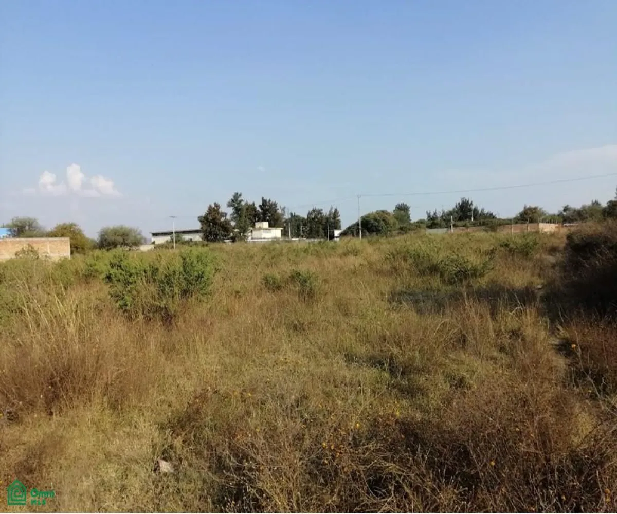 Edificio En Venta,Ejido El Zapote Del Valle,flor de loto S/N, Tlajomulco de Zuniga, Jalisco 45672,flor de loto,MX251062020