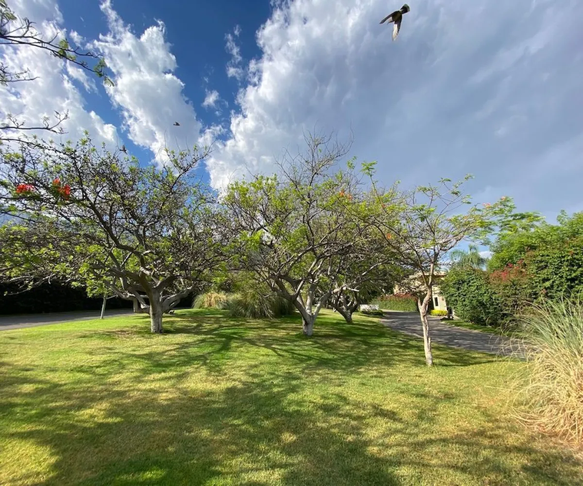 Terreno En Venta,west Ajijic,Carretera Jocotepec-chapala S/N, Jocotepec, Jalisco 45825,Carretera Jocotepec-chapala,pq7zoYs