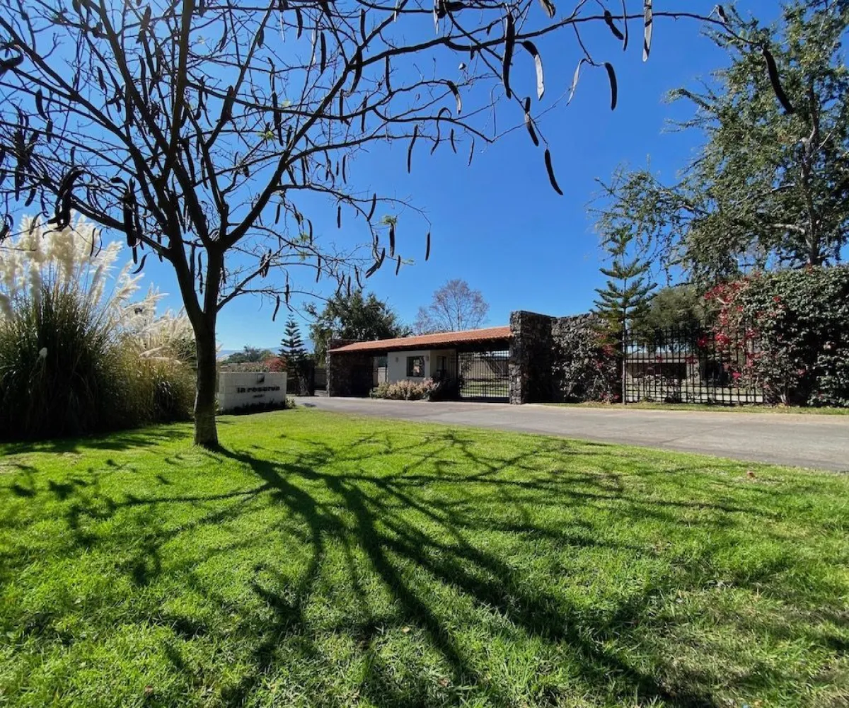 Terreno En Venta,west Ajijic,Carretera Jocotepec-chapala S/N, Jocotepec, Jalisco 45825,Carretera Jocotepec-chapala,pq7zoYs