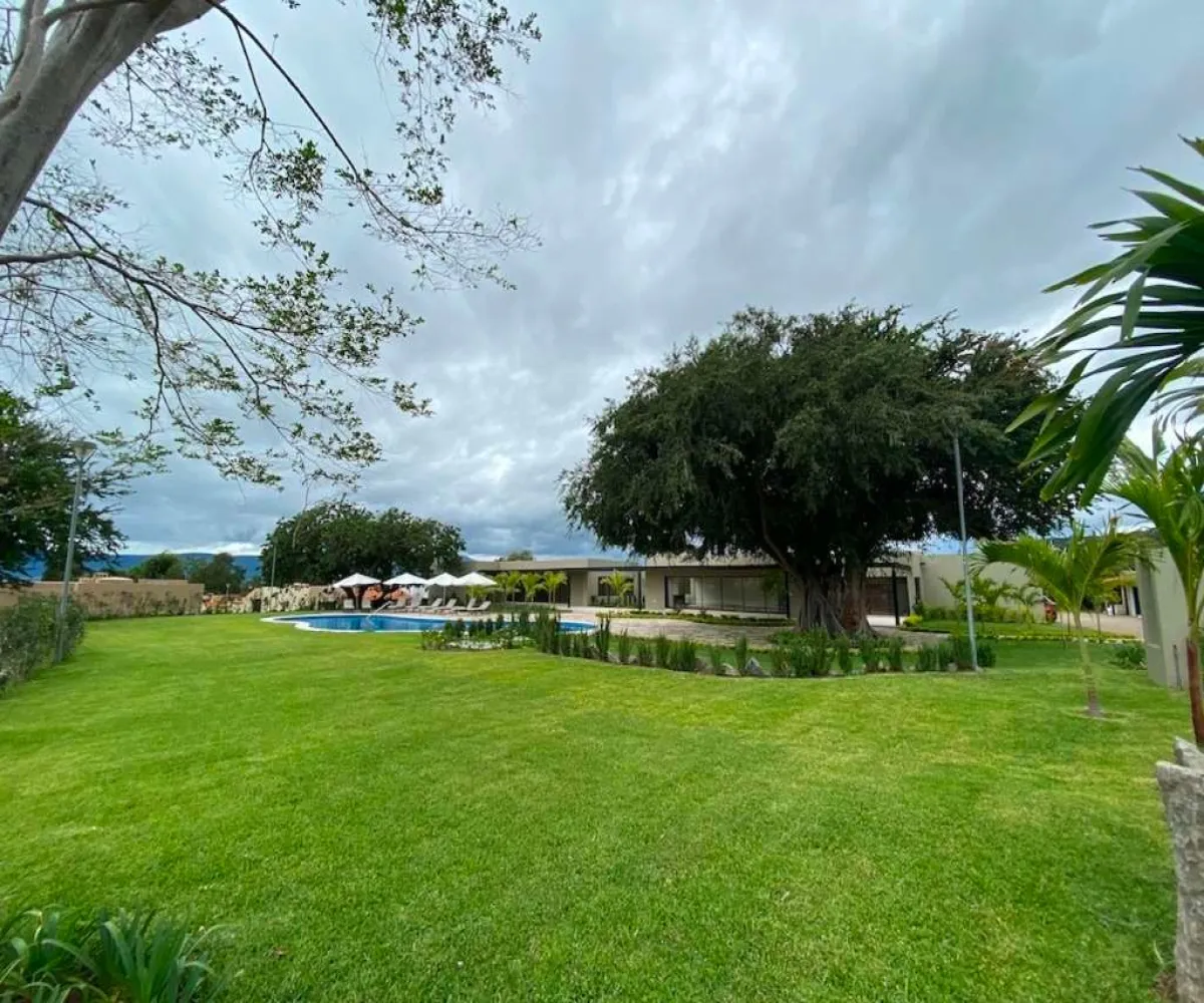 Terreno En Venta,Ajijic, Jalisco,Carretera Jocotepec-chapala 960, Jocotepec, Jalisco 45825,Carretera Jocotepec-chapala,pH6Pndo