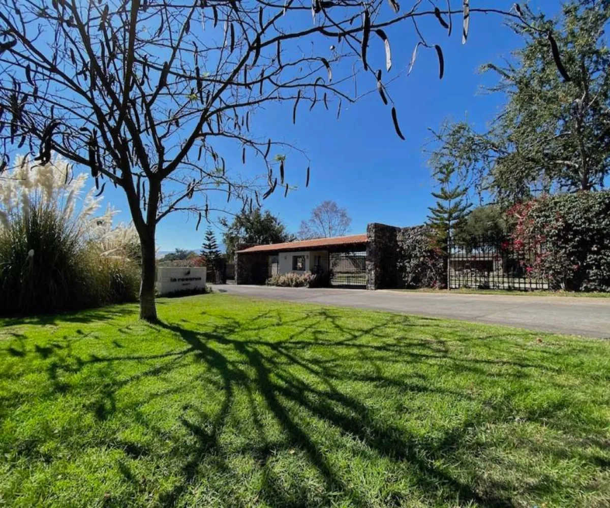 Terreno En Venta,Ajijic, Jalisco,Carretera Jocotepec-chapala 960, Jocotepec, Jalisco 45825,Carretera Jocotepec-chapala,pH6Pndo