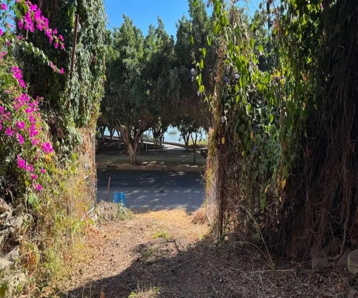 Terreno En Venta,Chapala,Carretera chapala, Jocotepec 907, Chapala, Jalisco 45900,Carretera chapala, Jocotepec ,pRnBdzn