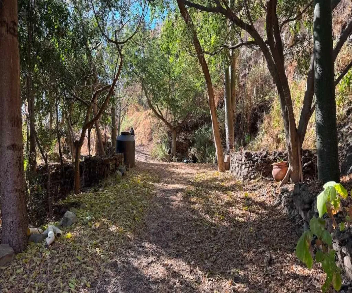 Terreno En Venta,Chapala,Carretera chapala, Jocotepec 907, Chapala, Jalisco 45900,Carretera chapala, Jocotepec ,pRnBdzn