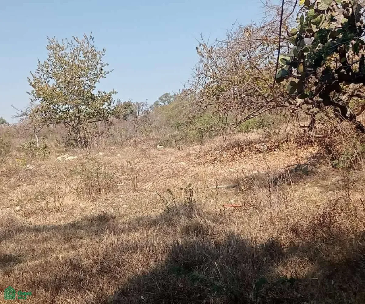 Terreno En Venta,San Nicolás de Ibarra,El callejón sn, Chapala, Jalisco, 45940, San Nico -, Chapala, Jalisco 45940,El callejón sn, Chapala, Jalisco, 45940, San Nico,MX251062726