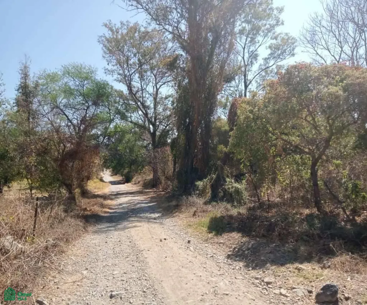 Terreno En Venta,San Nicolás de Ibarra,El callejón sn, Chapala, Jalisco, 45940, San Nico -, Chapala, Jalisco 45940,El callejón sn, Chapala, Jalisco, 45940, San Nico,MX251062726