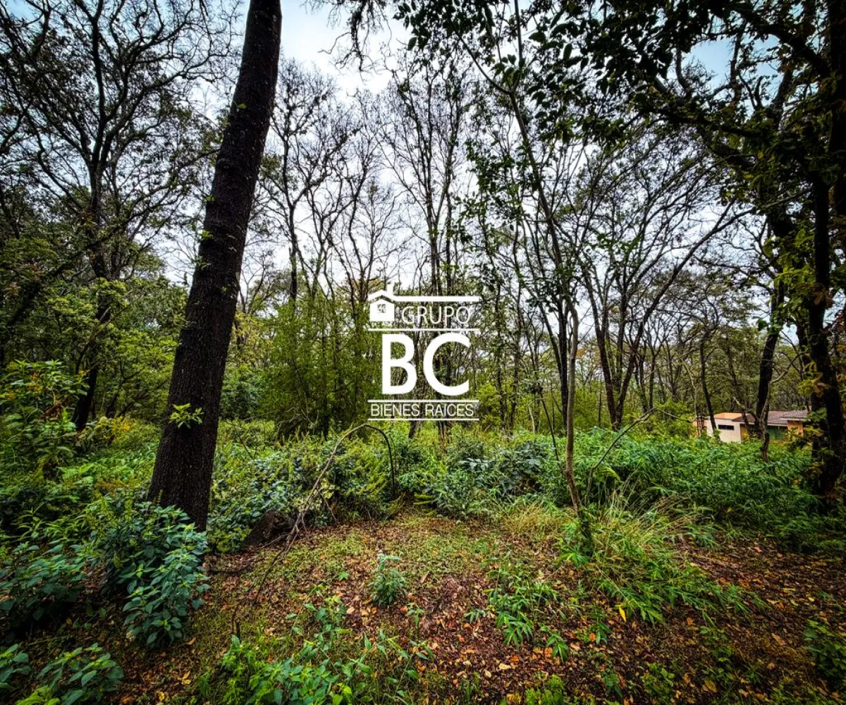 Terreno En Venta,Reserva de los Encinos,Reserva Los Encinos Lote 6 Manzana 5, Teuchitlán, Jalisco 46760,Reserva Los Encinos,pRO6o8H