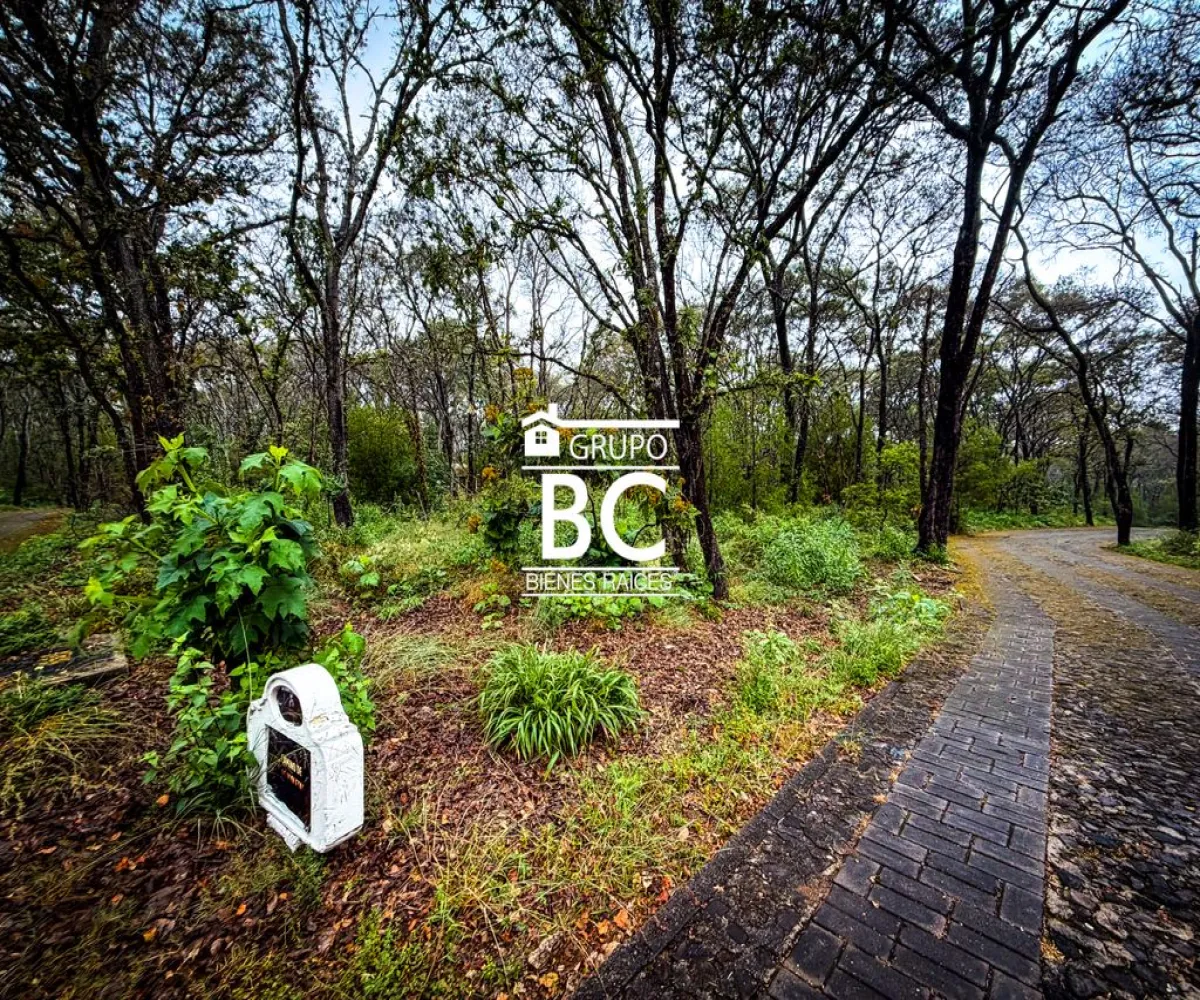 Terreno En Venta,Reserva de los Encinos,Reserva Los Encinos Lote 6 Manzana 5, Teuchitlán, Jalisco 46760,Reserva Los Encinos,pRO6o8H