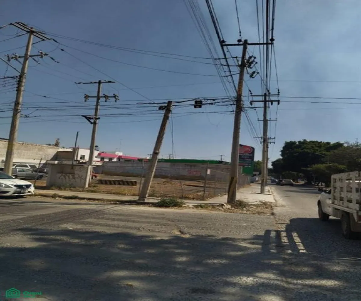 Terreno En Renta,Jardines Del Rosario,Dr. Michel Roberto 2305, Guadalajara, Jalisco 44890,Dr. Michel Roberto,MX251063384