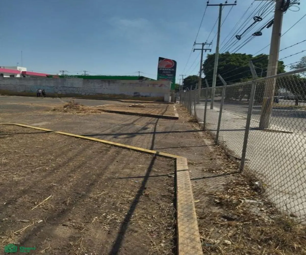 Terreno En Renta,Jardines Del Rosario,Dr. Michel Roberto 2305, Guadalajara, Jalisco 44890,Dr. Michel Roberto,MX251063384