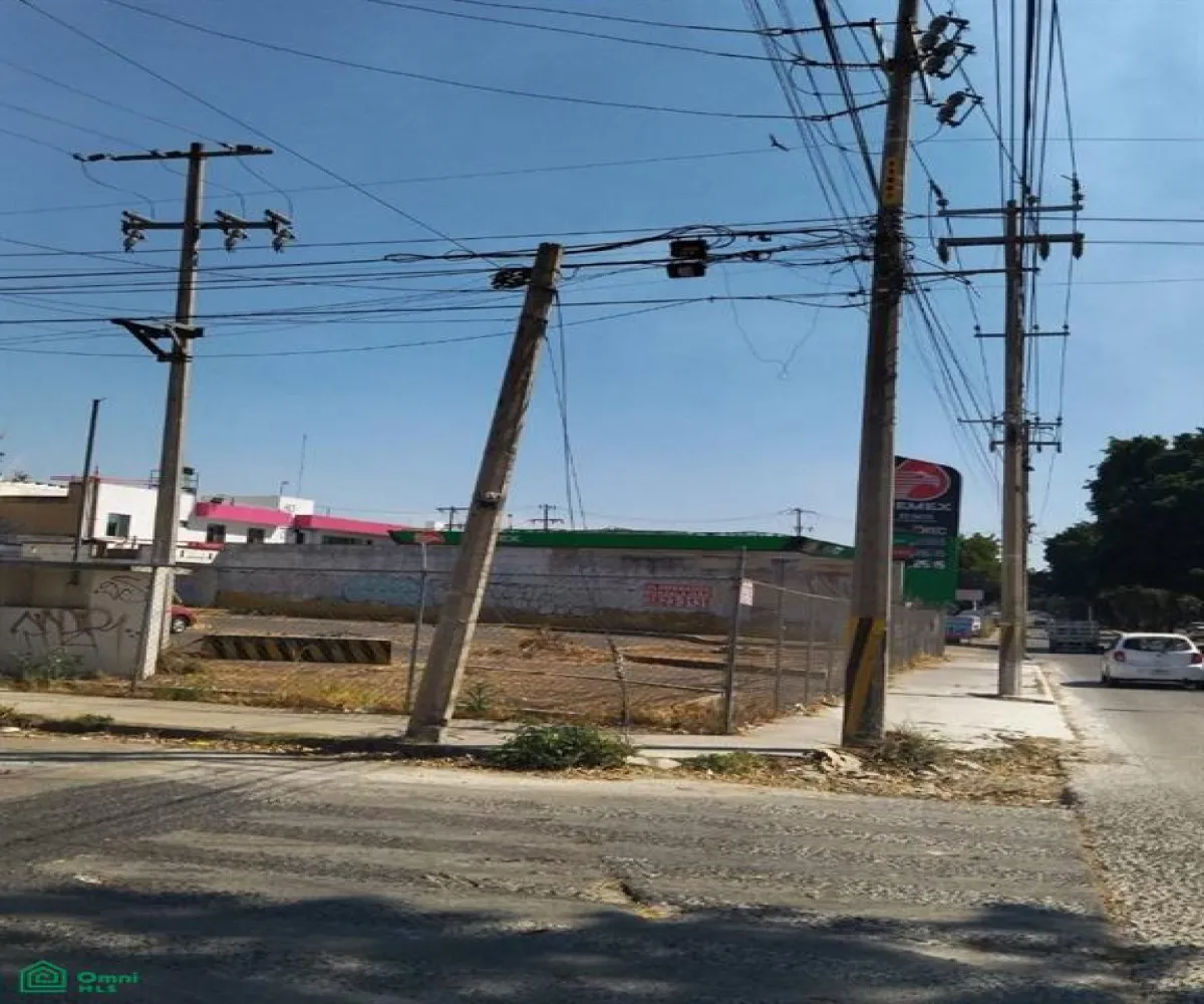 Terreno En Renta,Jardines Del Rosario,Dr. Michel Roberto 2305, Guadalajara, Jalisco 44890,Dr. Michel Roberto,MX251063384