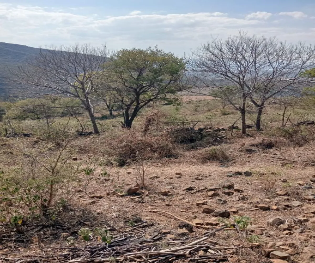 Terreno En Venta,Centro,Ejido Acatlán de Juarez 159, Acatlán de Juárez, Jalisco 45700,Ejido Acatlán de Juarez,pDmFFqR