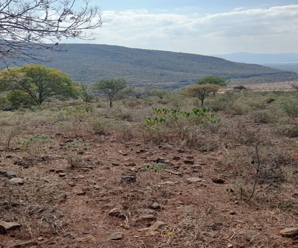 Terreno En Venta,Centro,Ejido Acatlán de Juarez 159, Acatlán de Juárez, Jalisco 45700,Ejido Acatlán de Juarez,pDmFFqR