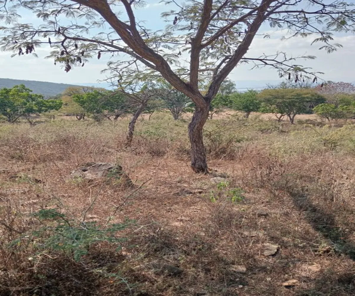 Terreno En Venta,Centro,Ejido Acatlán de Juarez 159, Acatlán de Juárez, Jalisco 45700,Ejido Acatlán de Juarez,pDmFFqR