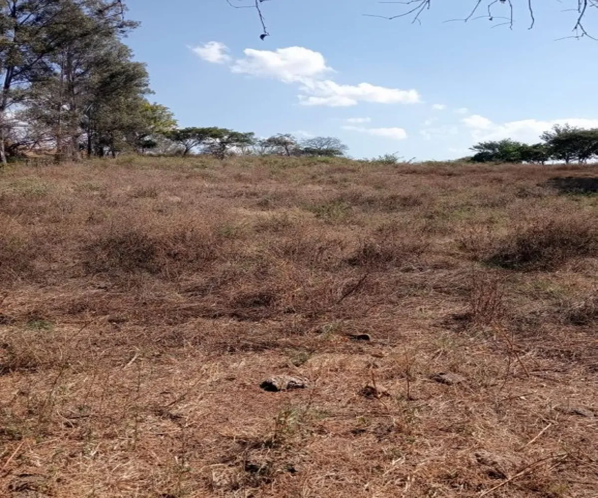 Terreno En Venta,Centro,Ejido Acatlán de Juarez 159, Acatlán de Juárez, Jalisco 45700,Ejido Acatlán de Juarez,pDmFFqR