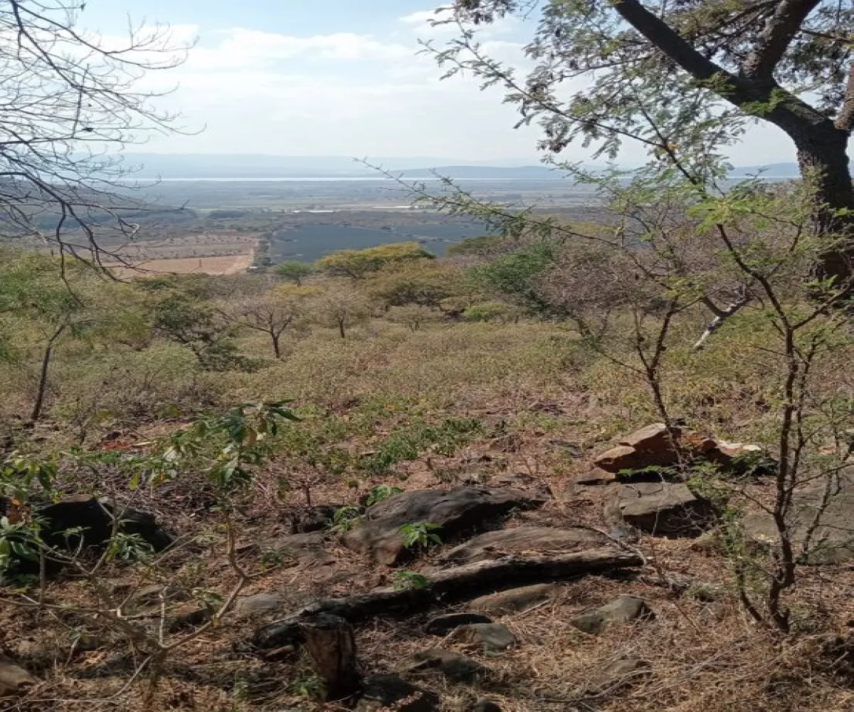 Terreno En Venta,Centro,Ejido Acatlán de Juarez 159, Acatlán de Juárez, Jalisco 45700,Ejido Acatlán de Juarez,pDmFFqR