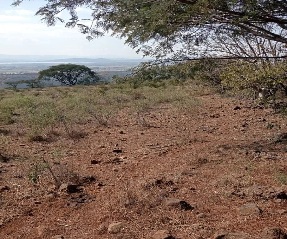 Terreno En Venta,Centro,Ejido Acatlán de Juarez 159, Acatlán de Juárez, Jalisco 45700,Ejido Acatlán de Juarez,pDmFFqR