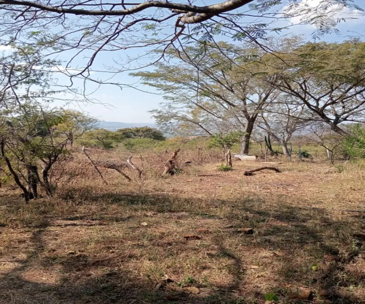 Terreno En Venta,Centro,Ejido Acatlán de Juarez 159, Acatlán de Juárez, Jalisco 45700,Ejido Acatlán de Juarez,pDmFFqR