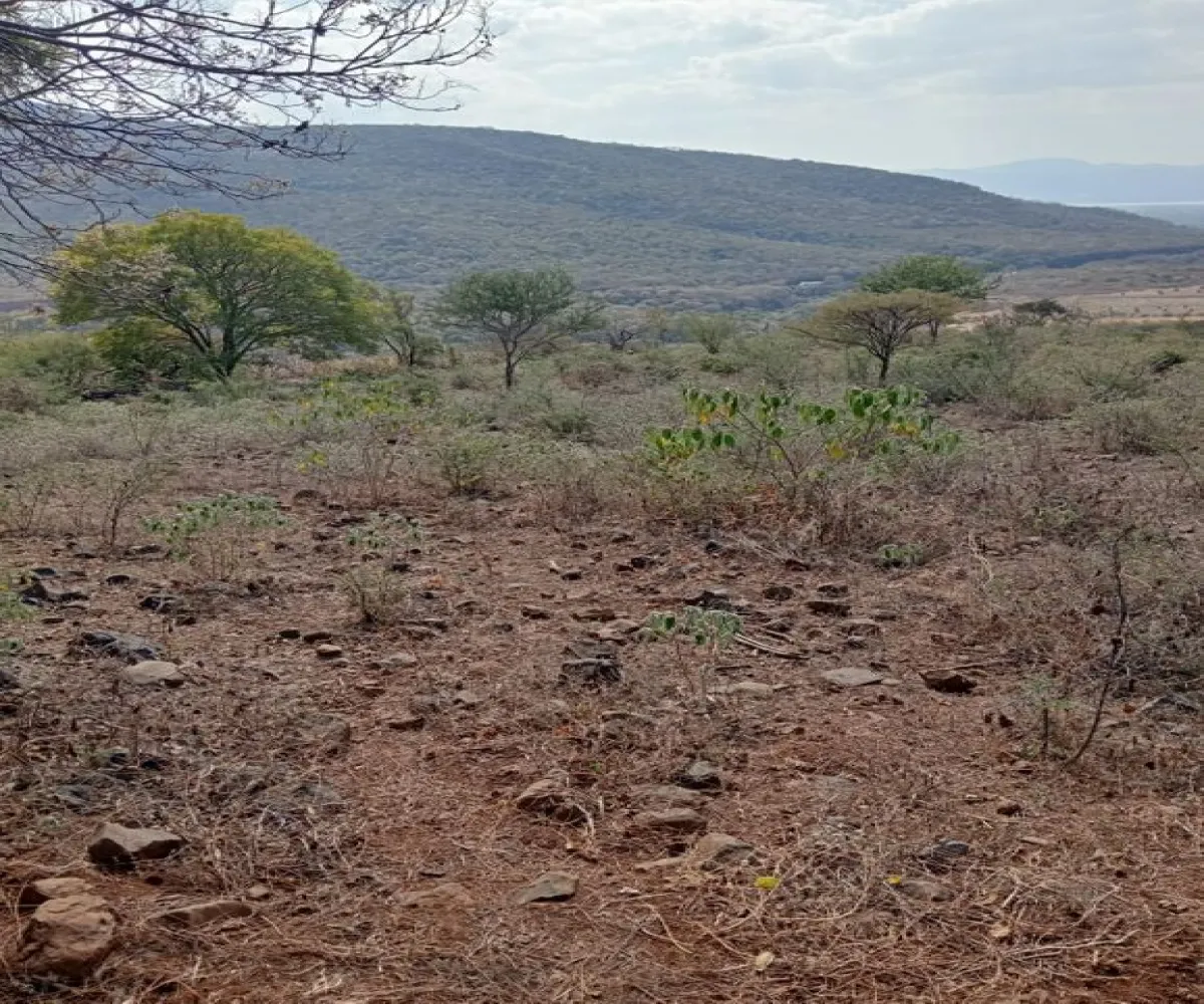 Terreno En Venta,Centro,Ejido Acatlán de Juarez 159, Acatlán de Juárez, Jalisco 45700,Ejido Acatlán de Juarez,pDmFFqR