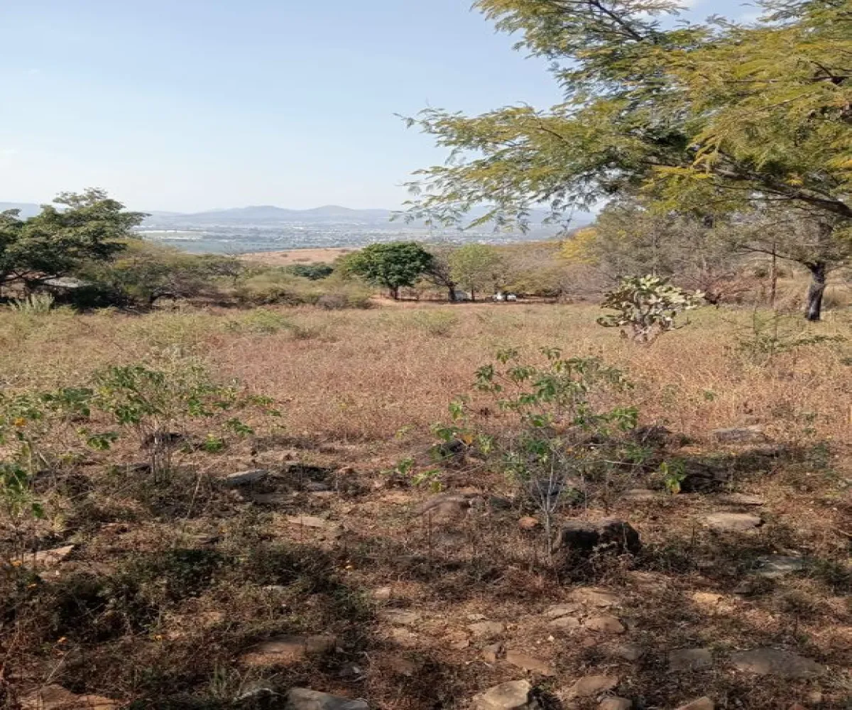 Terreno En Venta,Centro,Ejido Acatlán de Juarez 159, Acatlán de Juárez, Jalisco 45700,Ejido Acatlán de Juarez,pDmFFqR