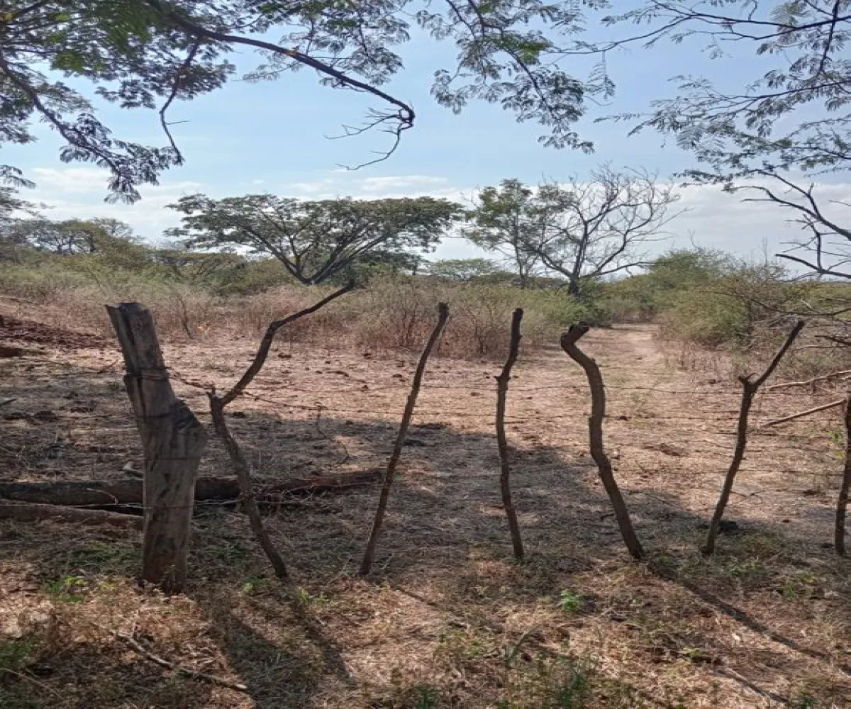 Terreno En Venta,Centro,Ejido Acatlán de Juarez 159, Acatlán de Juárez, Jalisco 45700,Ejido Acatlán de Juarez,pDmFFqR