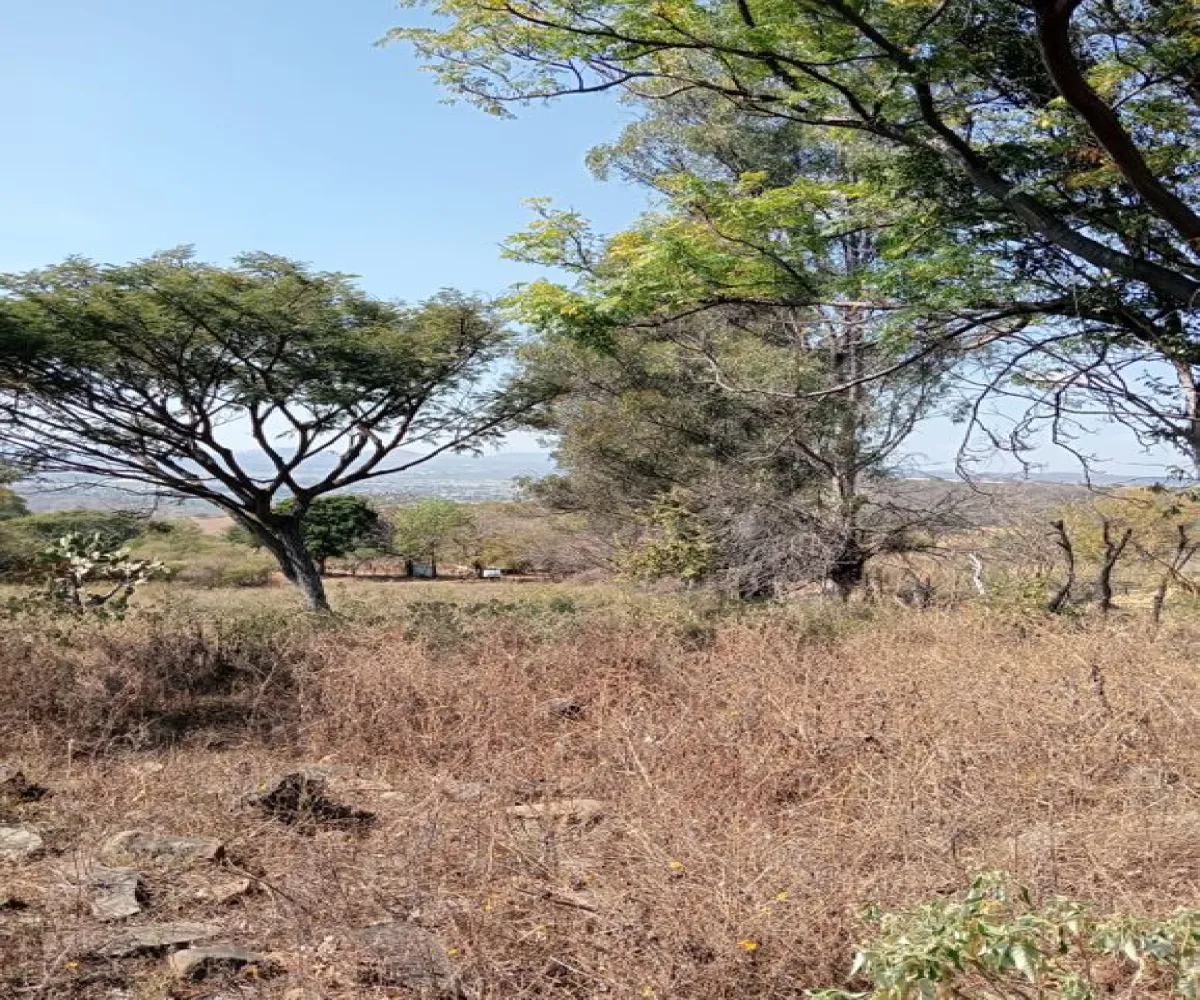 Terreno En Venta,Centro,Ejido Acatlán de Juarez 159, Acatlán de Juárez, Jalisco 45700,Ejido Acatlán de Juarez,pDmFFqR