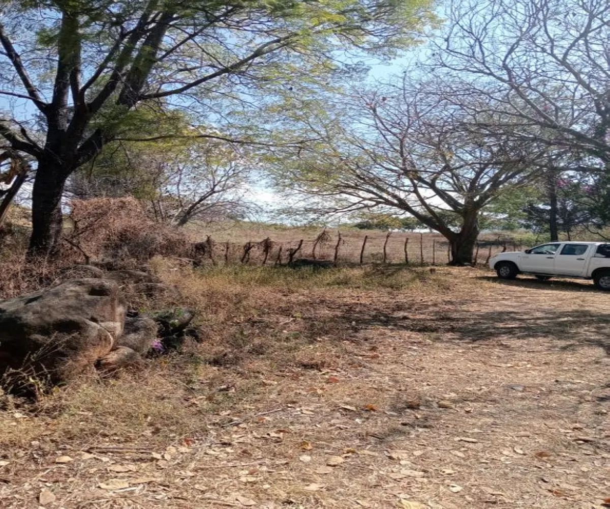 Terreno En Venta,Centro,Ejido Acatlán de Juarez 159, Acatlán de Juárez, Jalisco 45700,Ejido Acatlán de Juarez,pDmFFqR