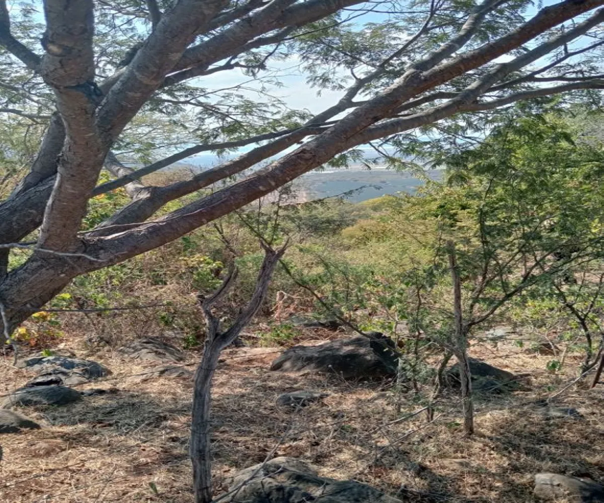 Terreno En Venta,Centro,Ejido Acatlán de Juarez 159, Acatlán de Juárez, Jalisco 45700,Ejido Acatlán de Juarez,pDmFFqR