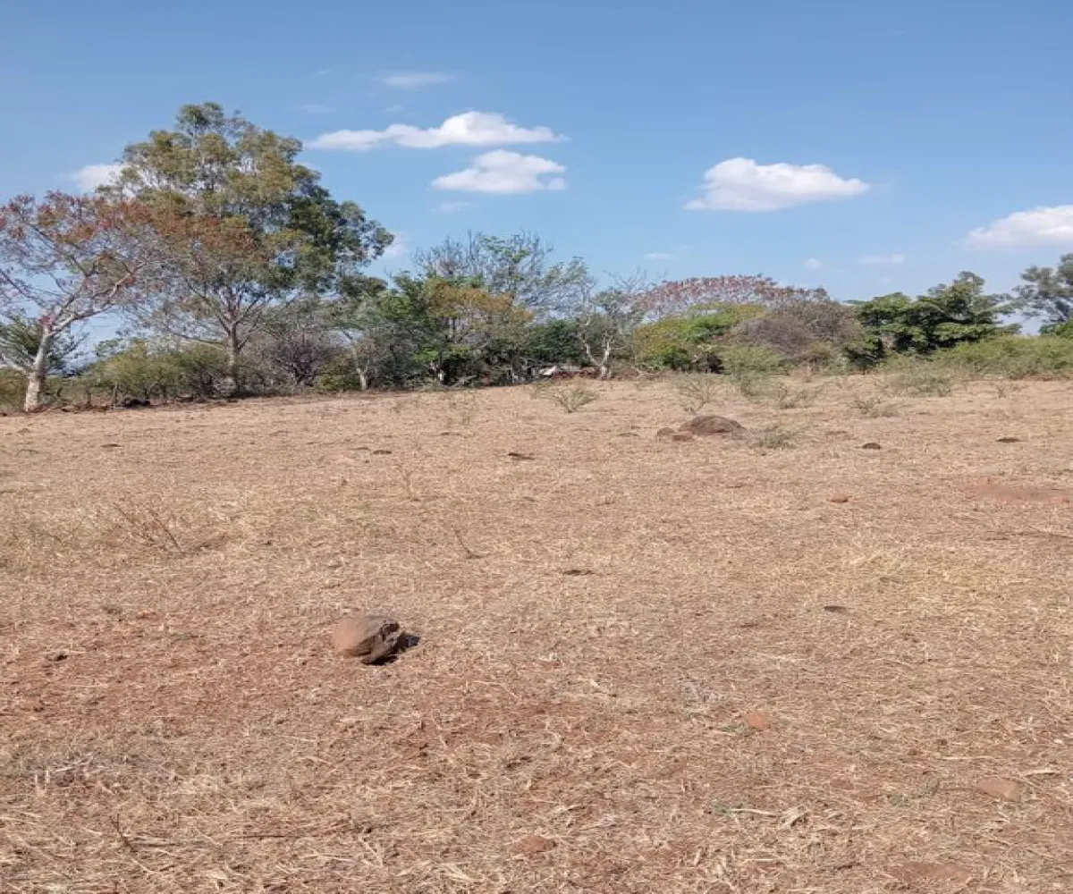 Terreno En Venta,Centro,Ejido Acatlán de Juarez 159, Acatlán de Juárez, Jalisco 45700,Ejido Acatlán de Juarez,pDmFFqR