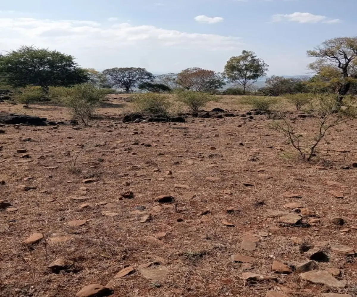 Terreno En Venta,Centro,Ejido Acatlán de Juarez 159, Acatlán de Juárez, Jalisco 45700,Ejido Acatlán de Juarez,pDmFFqR