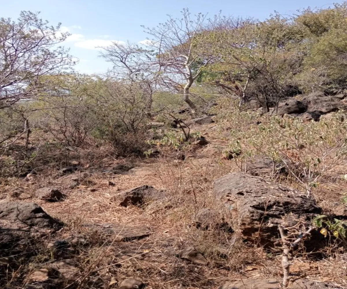 Terreno En Venta,Centro,Ejido Acatlán de Juarez 159, Acatlán de Juárez, Jalisco 45700,Ejido Acatlán de Juarez,pDmFFqR