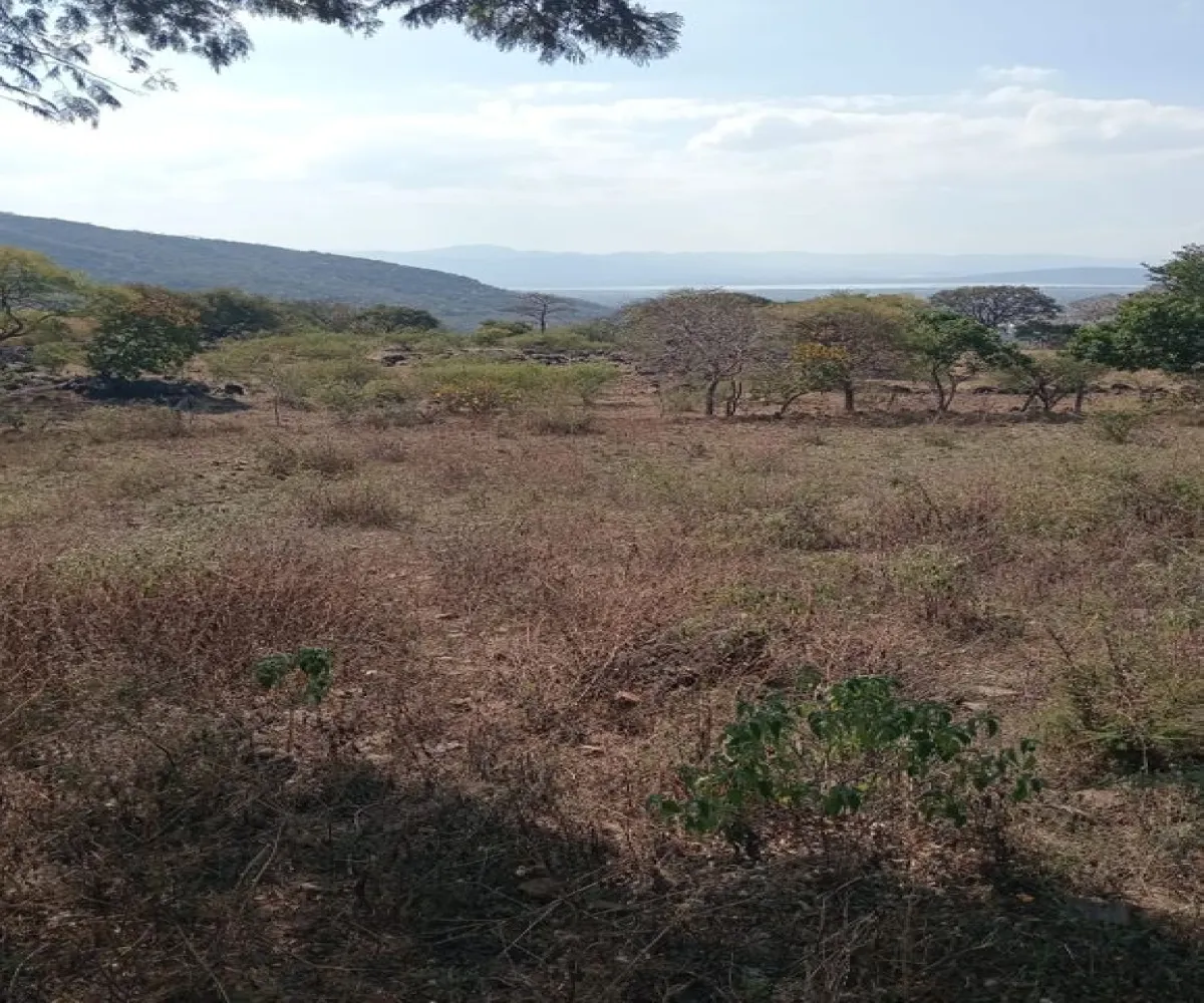 Terreno En Venta,Centro,Ejido Acatlán de Juarez 159, Acatlán de Juárez, Jalisco 45700,Ejido Acatlán de Juarez,pDmFFqR