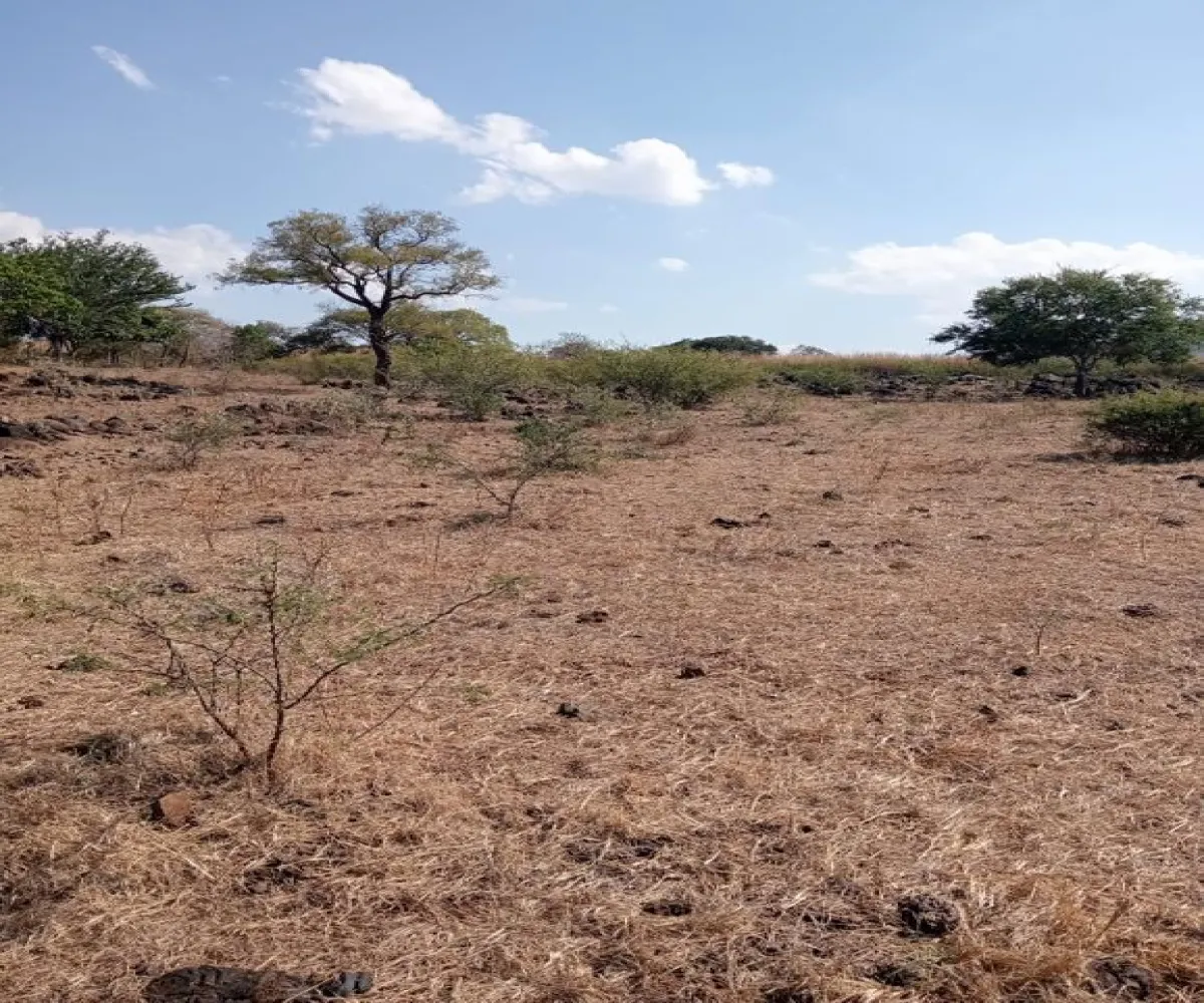 Terreno En Venta,Centro,Ejido Acatlán de Juarez 159, Acatlán de Juárez, Jalisco 45700,Ejido Acatlán de Juarez,pDmFFqR