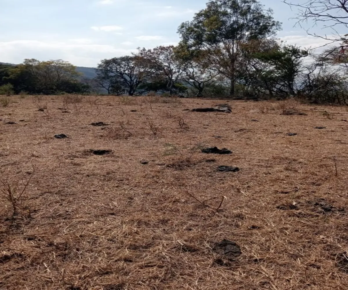 Terreno En Venta,Centro,Ejido Acatlán de Juarez 159, Acatlán de Juárez, Jalisco 45700,Ejido Acatlán de Juarez,pDmFFqR