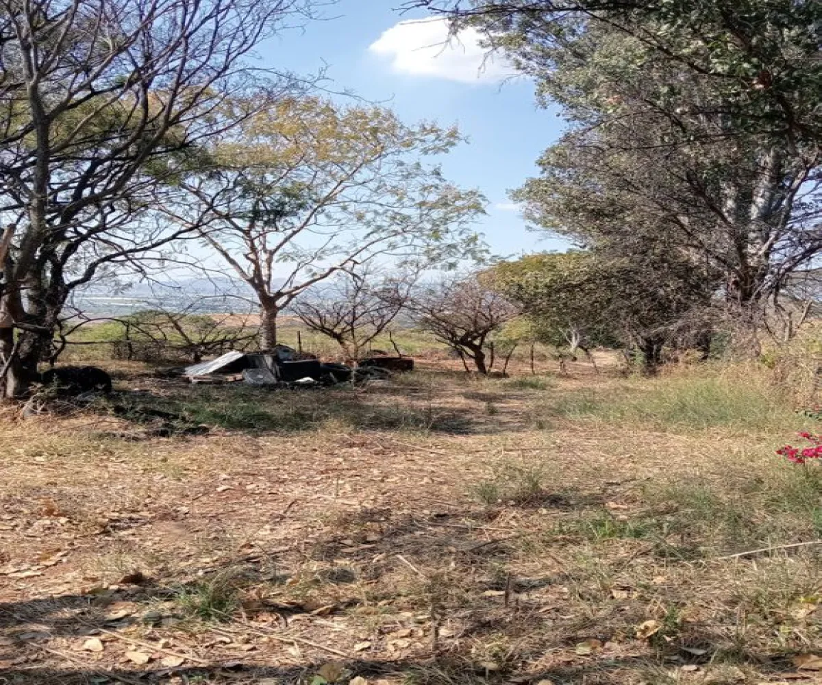 Terreno En Venta,Centro,Ejido Acatlán de Juarez 159, Acatlán de Juárez, Jalisco 45700,Ejido Acatlán de Juarez,pDmFFqR