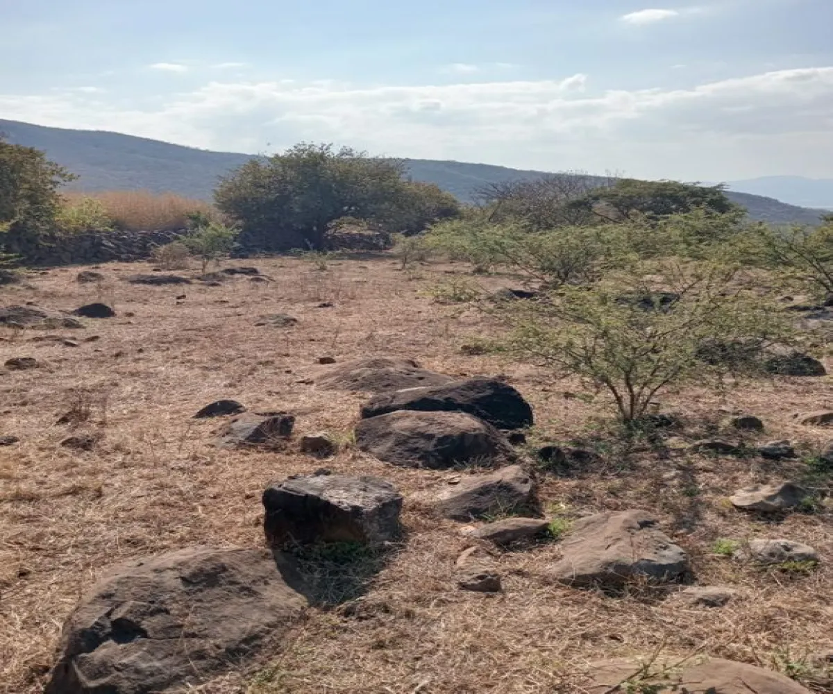 Terreno En Venta,Centro,Ejido Acatlán de Juarez 159, Acatlán de Juárez, Jalisco 45700,Ejido Acatlán de Juarez,pDmFFqR